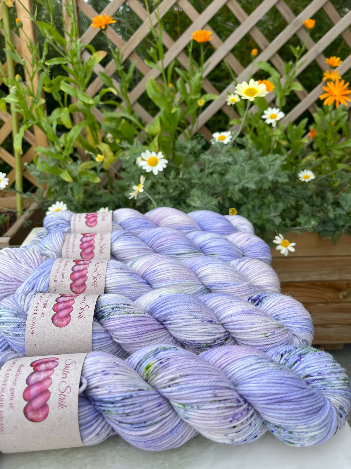 'Fransk Anemone' - Sock DK - 225 m / 100 g.