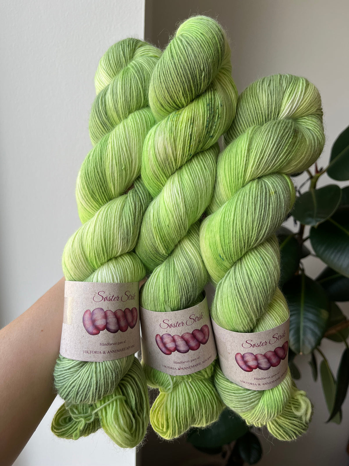 'Det spirer' - ez merino singles 366 m/100 g.
