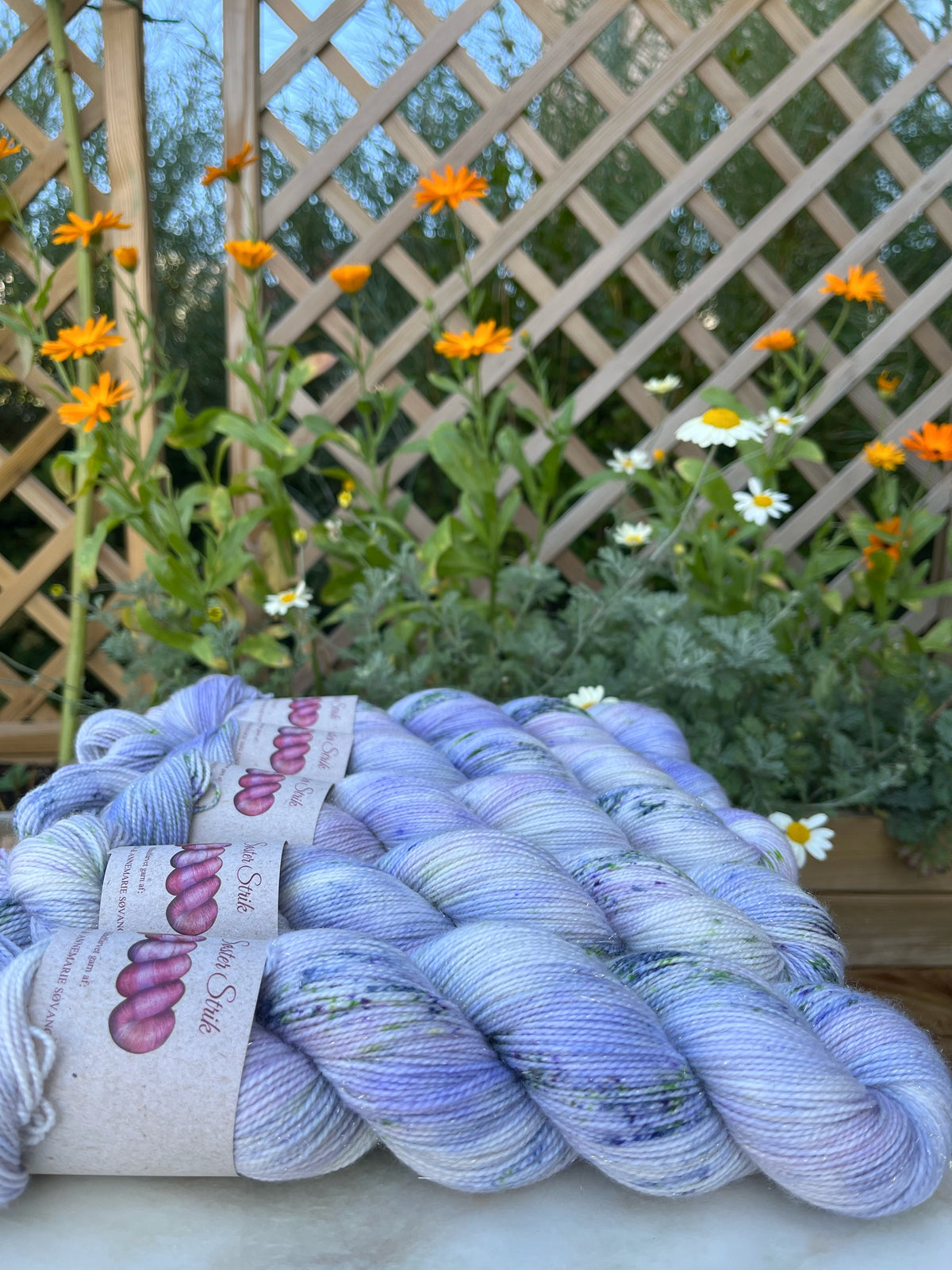 'Fransk anemone' - sock glitter 400 m/100 g.