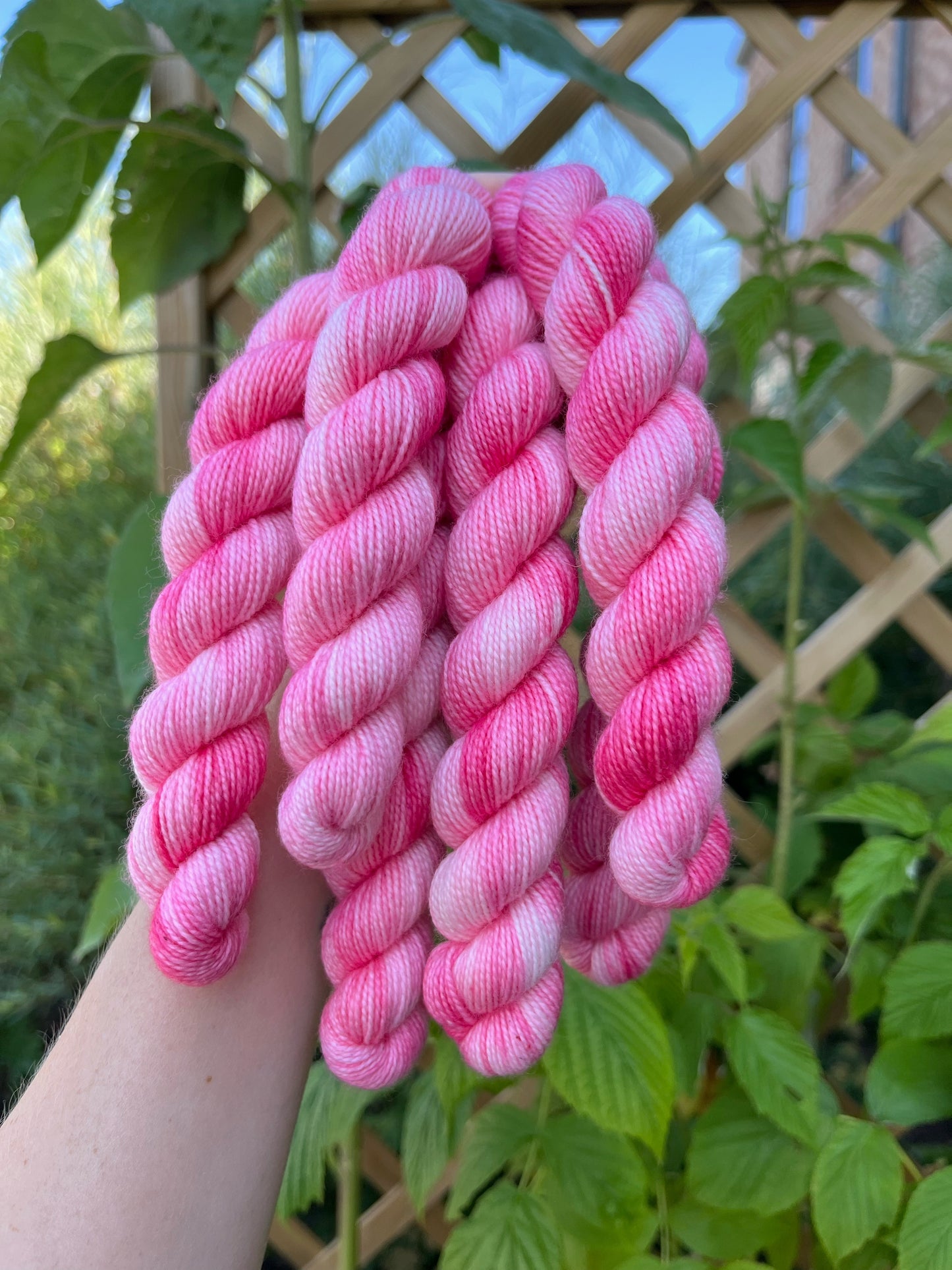 Mini' Rabarber' - sock 85 m/20 g.