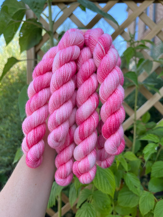 Mini' Rabarber' - sock 85 m/20 g.