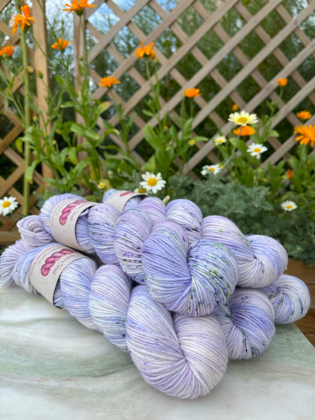 'Fransk Anemone' - Sock DK - 225 m / 100 g.