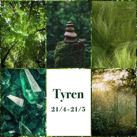'Tyren' Sock-sæt - Garnklub 2025